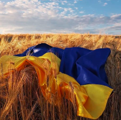 Поздравляем с Днем Соборности Украины!